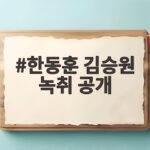 한동훈 김승원 녹취 공개 물건 정체와 청문회 쟁점 확인 한동훈 김승원 녹취 공개