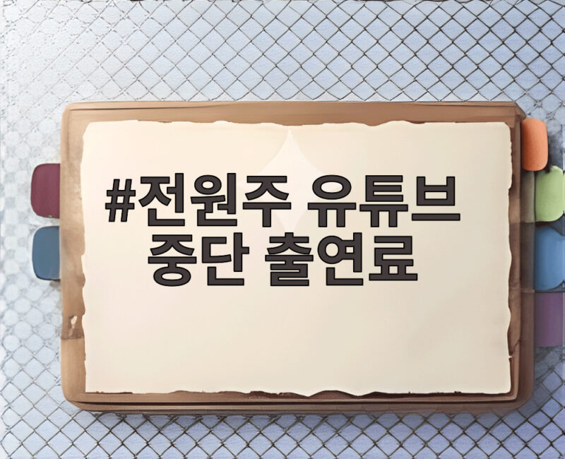 전원주 유튜브 중단 출연료 인상 요구에 제작진 하차 새출발 전말 1 전원주 유튜브 중단 출연료