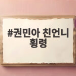 권민아 친언니 횡령