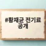 황재균 전기료 공개 한강뷰 집 150만원 비용의 이유와 변화 황재균 전기료 공개