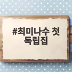 최미나수 첫 독립집 공개, ENA 니돈내산에서 보여준 싱글 라이프 최미나수 첫 독립집