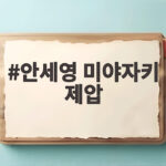 안세영 미야자키 제압