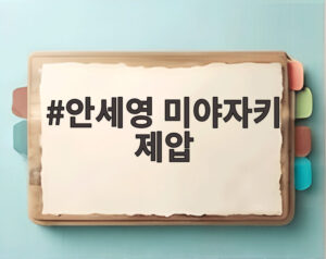 안세영 미야자키 제압