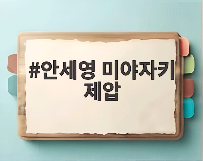 안세영 미야자키 제압 중국 마스터스 3연패 달성 우승 비결 1 안세영 미야자키 제압