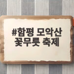 함평 모악산 꽃무릇 축제 9월 붉은 물결 속으로 초대합니다 함평 모악산 꽃무릇 축제