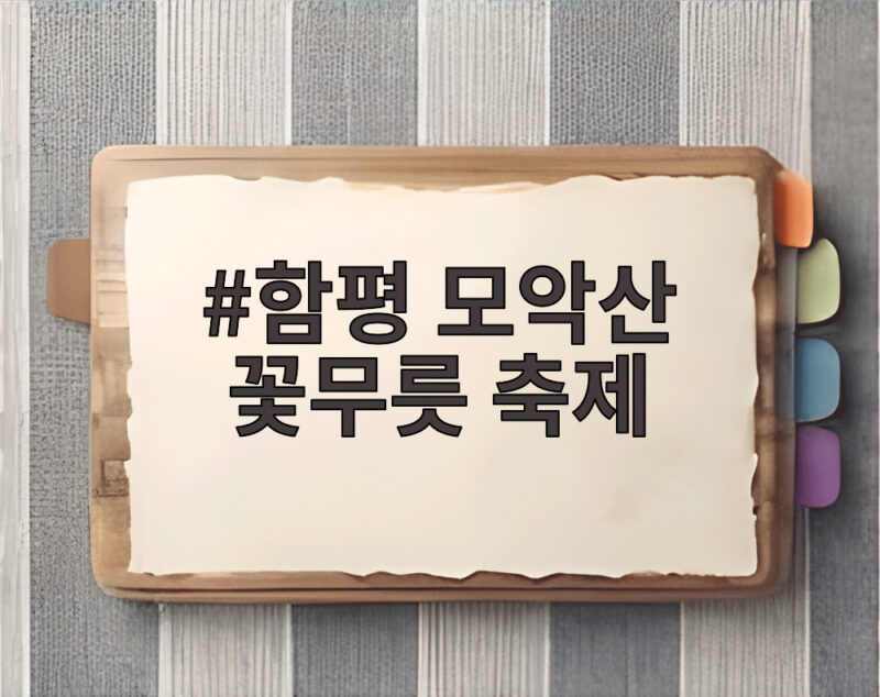 함평 모악산 꽃무릇 축제 9월 붉은 물결 속으로 초대합니다 1 함평 모악산 꽃무릇 축제