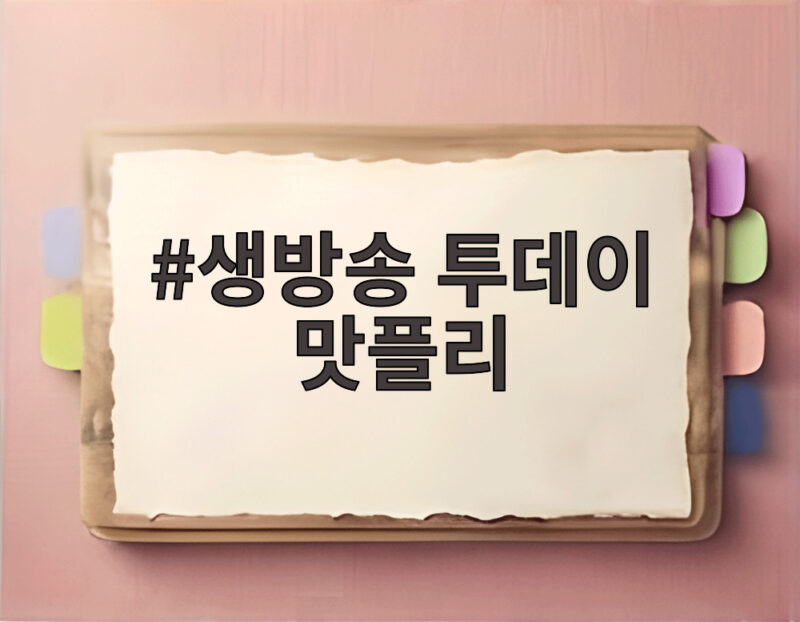 생방송 투데이 맛플리