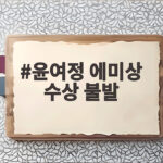 윤여정 에미상 수상 불발 그럼에도 순백 드레스가 남긴 것 윤여정 에미상 수상 불발