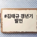 김태규 갱년기 발언 인사청문회 눈물 공방 그리고 우리가 알아야 할 것 김태규 갱년기 발언