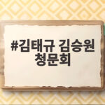 김태규 김승원 청문회