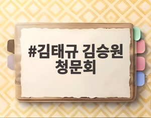 김태규 김승원 청문회