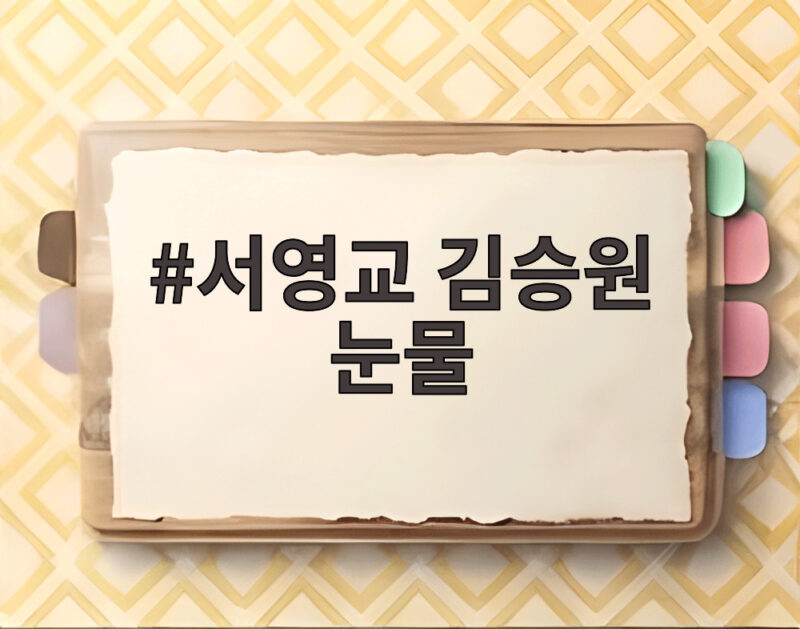 서영교 김승원 눈물, 갱년기 발언에 숨겨진 청문회의 진짜 이야기 1 서영교 김승원 눈물