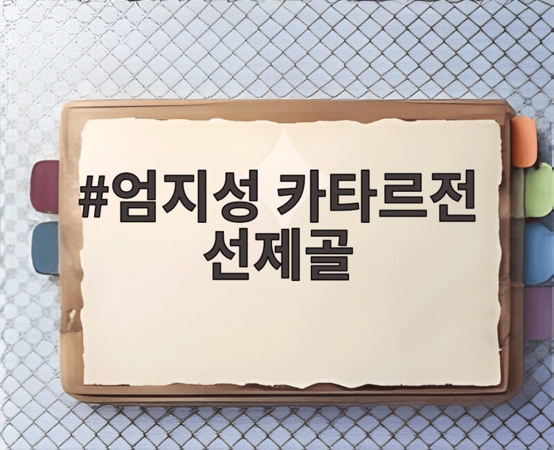 엄지성 카타르전 선제골, 전반 해트트릭 쇼타임으로 4대1 대승 1 엄지성 카타르전 선제골