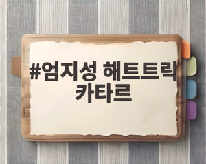 엄지성 해트트릭 카타르