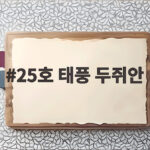 25호 태풍 두쥐안 추석 연휴 북상에 하늘길과 뱃길 영향은 25호 태풍 두쥐안