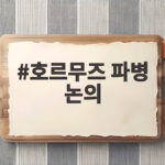 호르무즈 파병 논의 미국 압박 속 국회 동의안 제출 여부 이번 주 윤곽 나오나 호르무즈 파병 논의