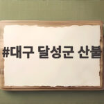 대구 달성군 산불 논공읍 위천리 야산 발생 45분 만에 진화된 이유 대구 달성군 산불