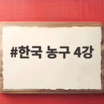 한국 농구 4강