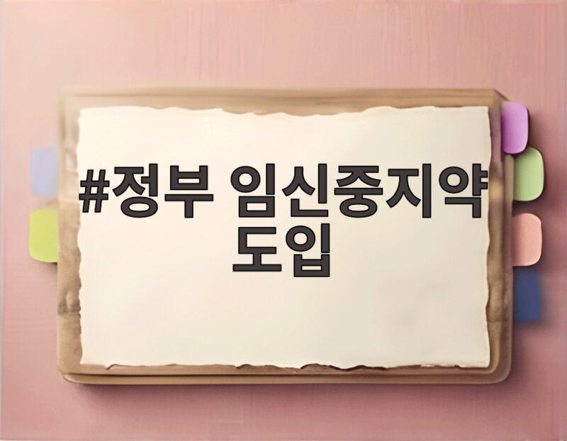 정부 임신중지약 도입