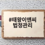 태왕이앤씨 법정관리 후폭풍 대구 건설업계 300억 지원으로 위기 넘을까 태왕이앤씨 법정관리