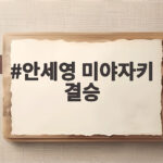 안세영 미야자키 결승