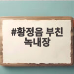 황정음 부친 녹내장