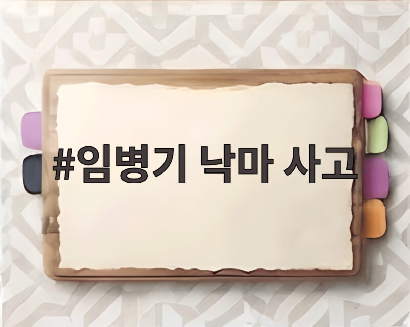 임병기 낙마 사고