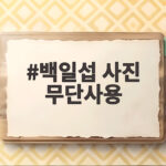 백일섭 사진 무단사용으로 20년 넘게 홍보한 업체 1억 배상 판결 백일섭 사진 무단사용