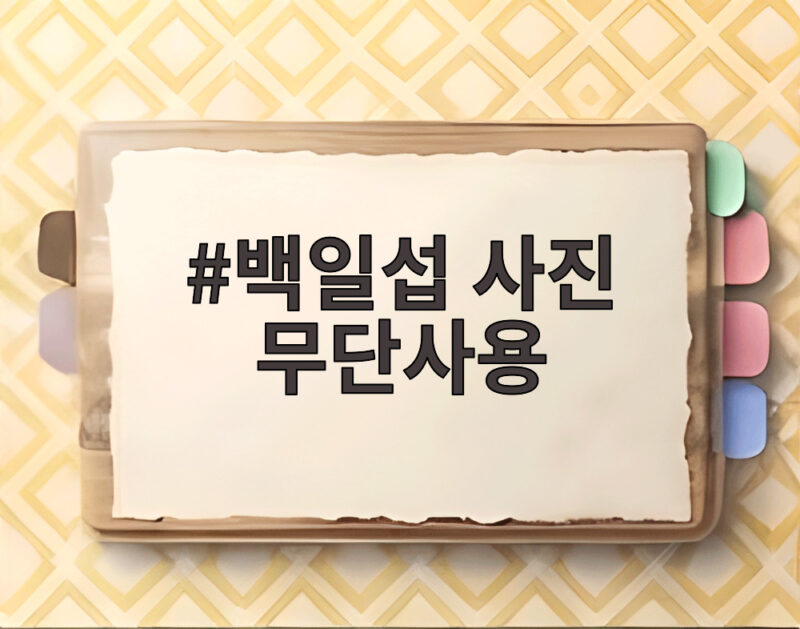 백일섭 사진 무단사용