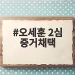 오세훈 2심 증거채택 명태균 녹음파일 무죄 증거 될까 오세훈 2심 증거채택