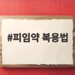 피임약 복용법 제대로 알면 99% 확실한 피임 효과를 볼 수 있습니다 피임약 복용법