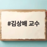 김상배 교수 전 세계 로봇 표준을 바꾼 MIT 종신교수의 이야기 김상배 교수