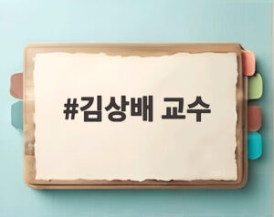 김상배 교수