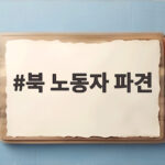 북 노동자 파견 실태 해외 17개국 최대 10만명 외화벌이 확인 북 노동자 파견