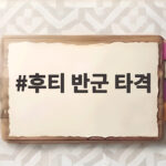후티 반군 타격 사우디 석유시설과 공군기지 공격의 진실 후티 반군 타격