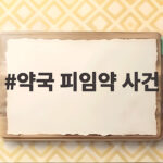 약국 피임약 사건 초등학생 감기약 대신 피임약 판매 논란 약국 피임약 사건