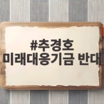 추경호 미래대응기금 반대 지방교부세 감소가 무서운 이유 추경호 미래대응기금 반대