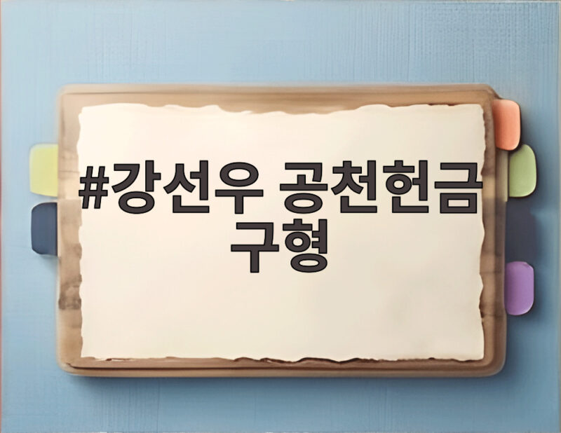 강선우 공천헌금 구형 1심 결과 그리고 쪼개기 후원 추가 기소까지 1 강선우 공천헌금 구형