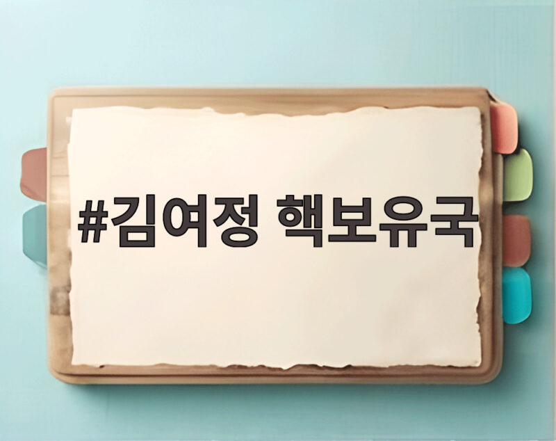 김여정 핵보유국 지위 영구 고착 선언 전 세계 비핵화 논쟁에 던진 메시지 1 김여정 핵보유국
