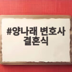 양나래 변호사 결혼식 신랑 얼굴 숨긴 이유가 이렇게 놀랍다 양나래 변호사 결혼식