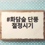 화담숲 단풍 절정시기 놓치면 아쉬운 계절의 선물 확인하세요 화담숲 단풍 절정시기