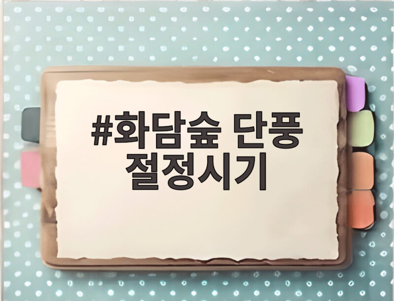 화담숲 단풍 절정시기 놓치면 아쉬운 계절의 선물 확인하세요 1 화담숲 단풍 절정시기