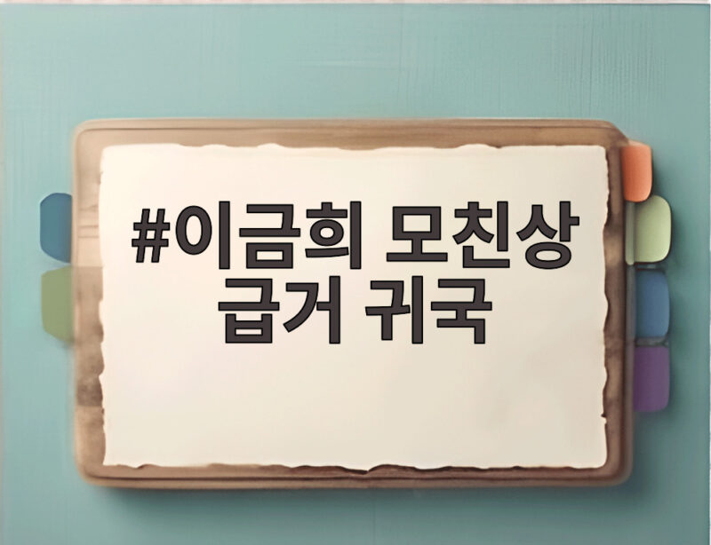 이금희 모친상 급거 귀국 93세 어머니 별세 소식에 팬들 애도 1 이금희 모친상 급거 귀국