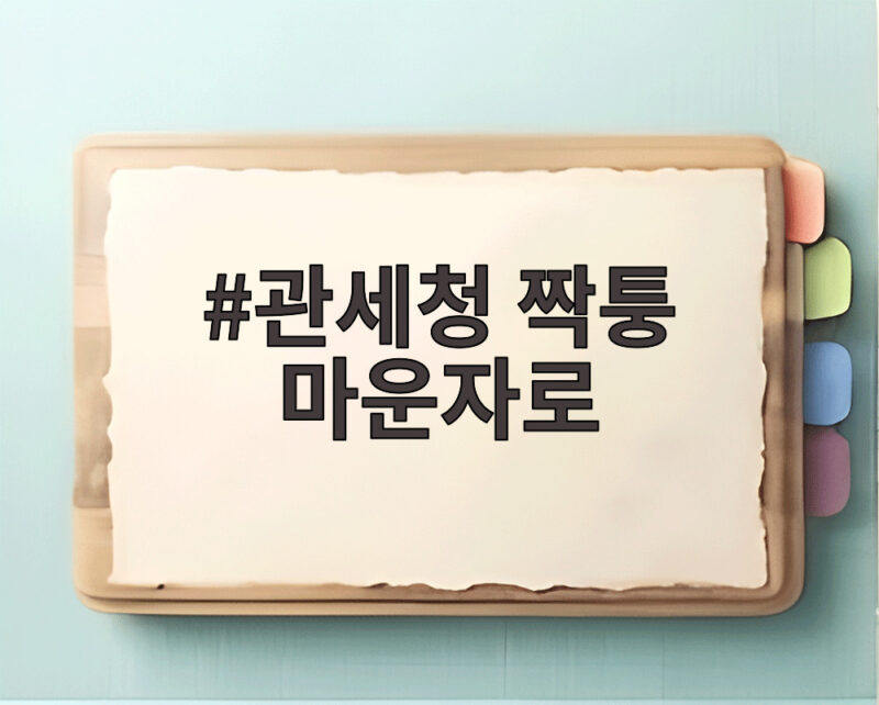 관세청 짝퉁 마운자로 통관검사 대폭 강화 밀수입 차단한다 1 관세청 짝퉁 마운자로