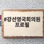 강선영국회의원 프로필, 육군소장 출신 국방전문가의 활약 강선영국회의원 프로필
