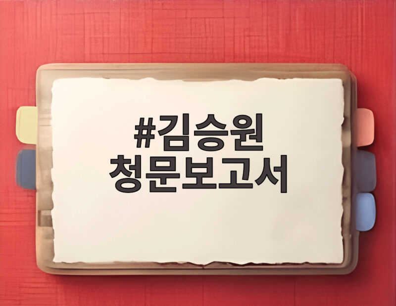 김승원 청문보고서
