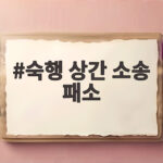 숙행 상간 소송 패소 1심 원고 일부 승소 판결과 복귀 전망 숙행 상간 소송 패소
