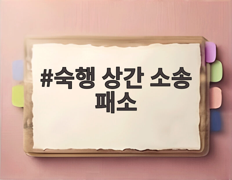 숙행 상간 소송 패소