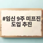 임신 9주 미프진 도입 추진, 내년 1분기 시행 전 알아야 할 점 임신 9주 미프진 도입 추진