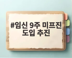 임신 9주 미프진 도입 추진